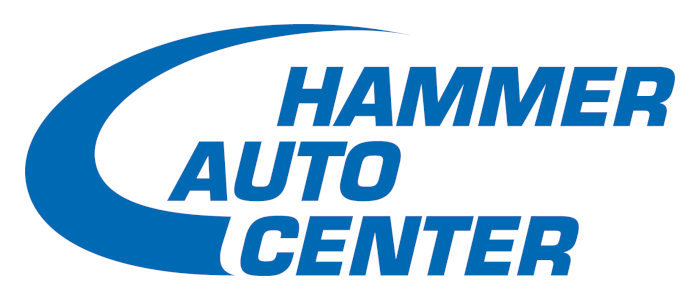 Hammer Auto Center Emmen - Sponsor Neuuniformierung und Fahnenweihe 2023